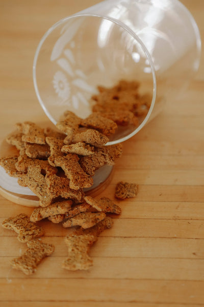 Superfood Dog Treats by the lb - Economical & Nutritious