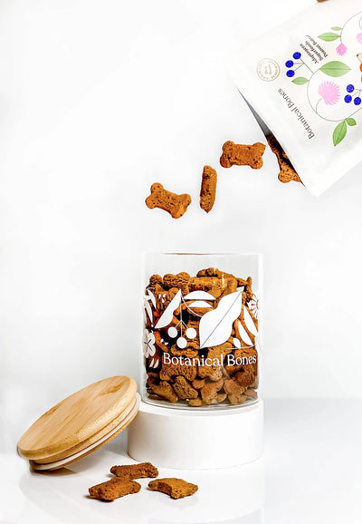 The Treat Jar - Convenient & Practical