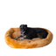 Armarkat Bolstered Pet Bed and Mat - Comfortable and Durable