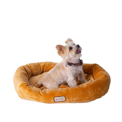 Armarkat Bolstered Pet Bed and Mat - Comfortable and Durable