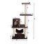 GleePet 59-Inch Real Wood Cat Hammock with Play Condo