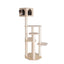 Armarkat 69-Inch Premium Scots Pine Cat Tree with Five Levels