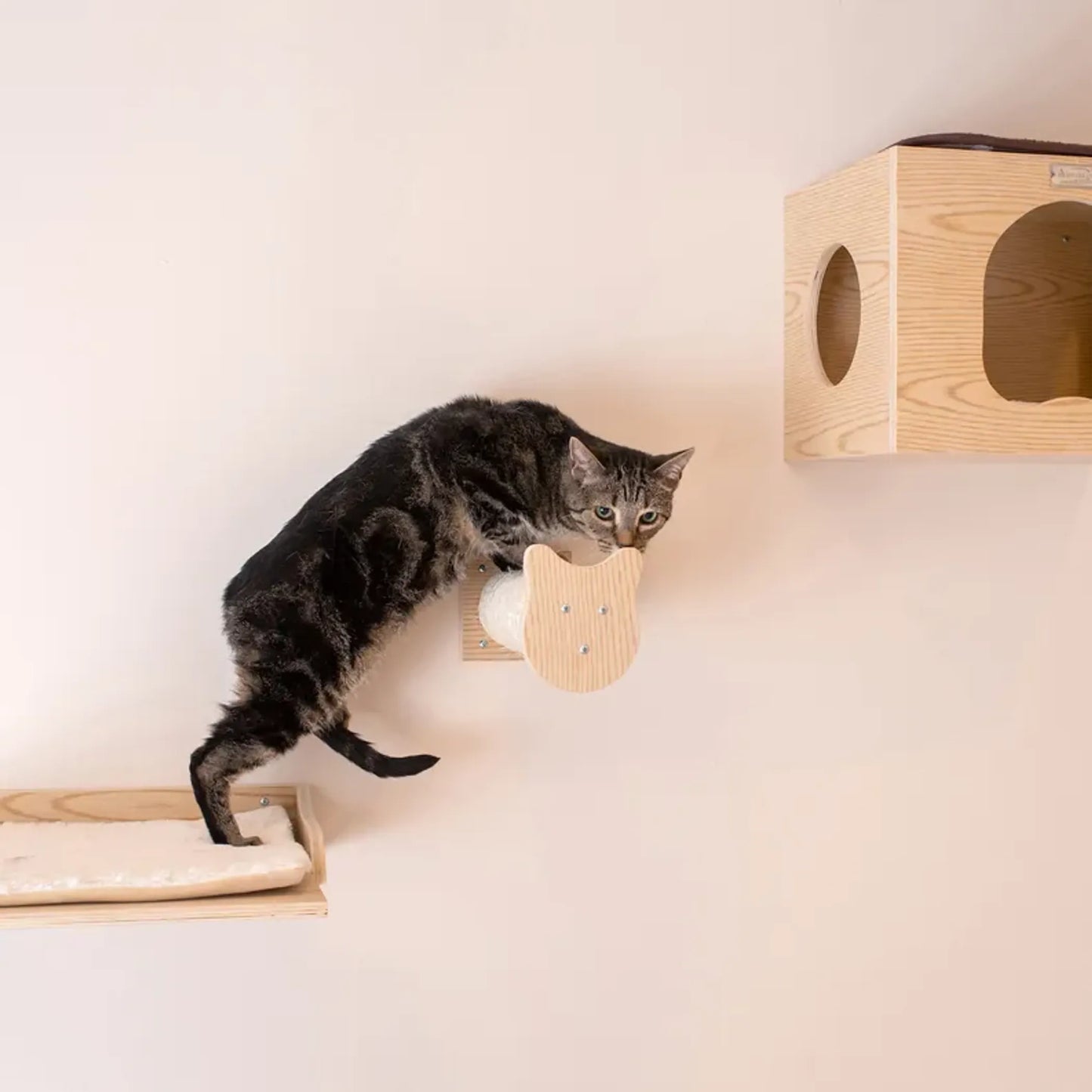 Armarkat Wall Series Tree - Multi-Level Cat Playground