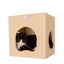 Armarkat Wall Series Tree - Multi-Level Cat Playground