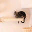 Armarkat Wall Series Scratching Post - Promotes Healthy Claws