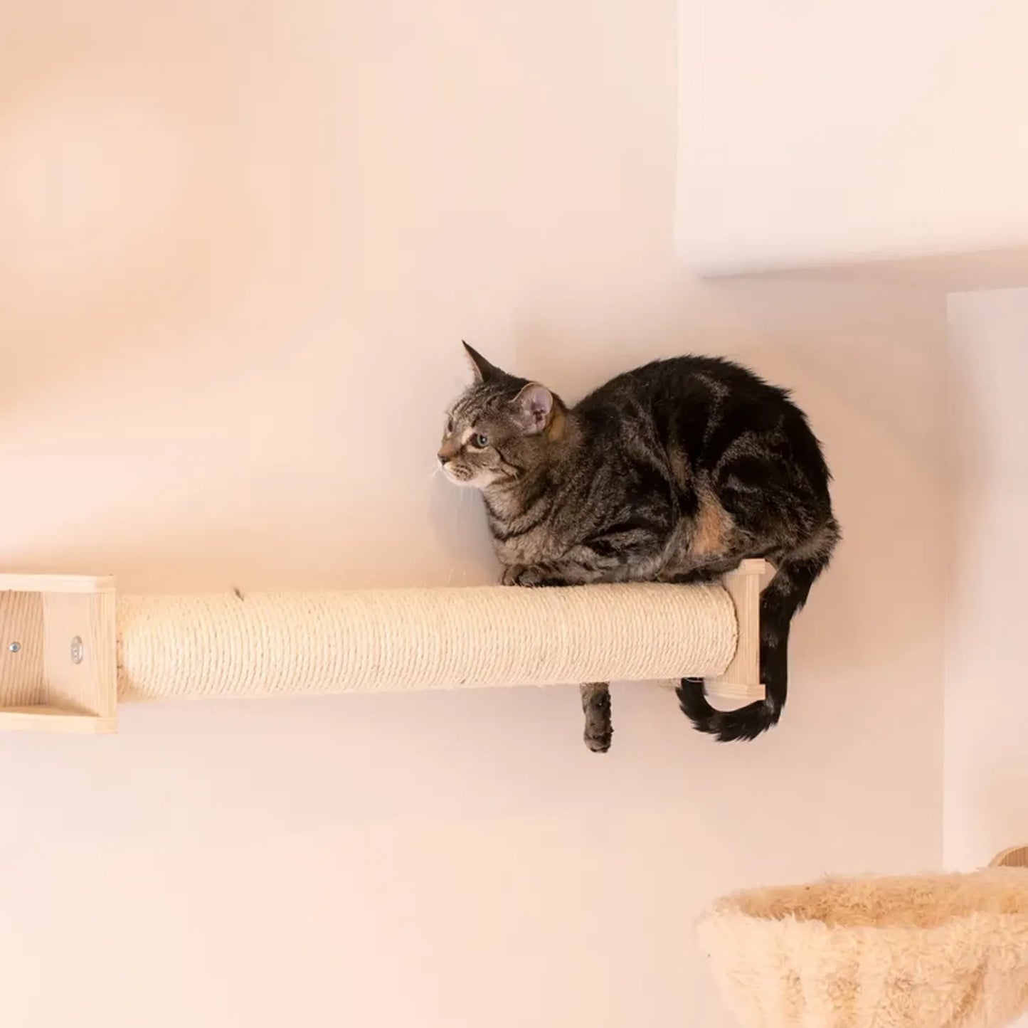 Armarkat Wall Series Scratching Post - Promotes Healthy Claws