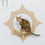 Armarkat Sun-Shaped Wall-Mounted Cat Climber Shelves