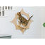 Armarkat Sun-Shaped Wall-Mounted Cat Climber Shelves