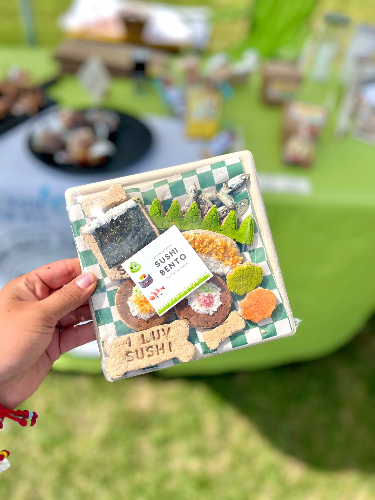 Food Hall - Global Cuisine Inspired Food Trays for Dogs - Gluten Free
