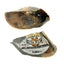 Beef Hooves - Natural & Durable