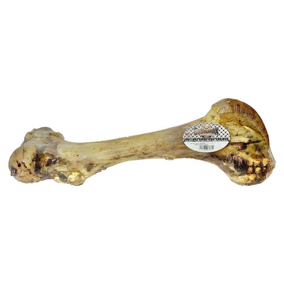 Femur Beef Bone - 100% Real Beef Bone Dog Treat