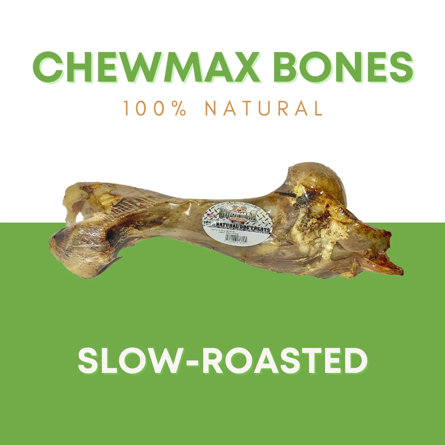 Dino Beef Bone for Dogs - Nutritious and Delicious Treat