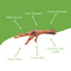 Slow-Roasted Chicken Feet - 3 LBS - High in Protein, Promotes Joint Health