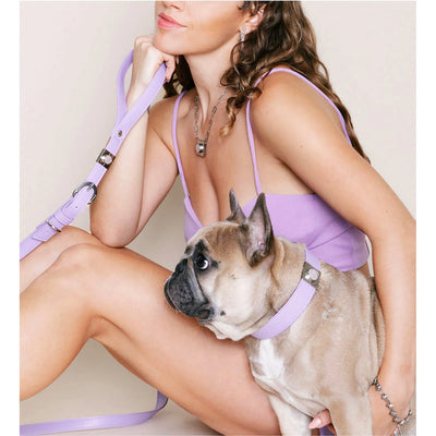 Lavender Rose Collar Charm Set - Stylish Pet Accessory with Healing Properties