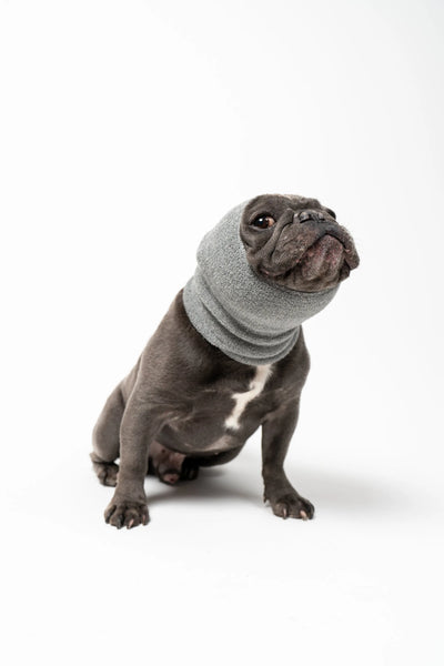 Pet Hoodz Dog Hoodies for Anxiety - Expandable and Comfortable