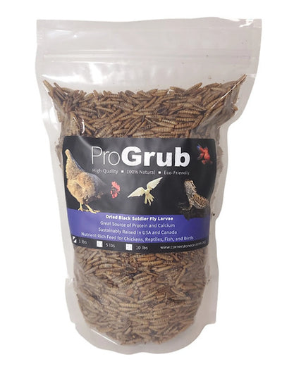 All-Natural Dried Black Soldier Fly Larvae - Poultry Treats