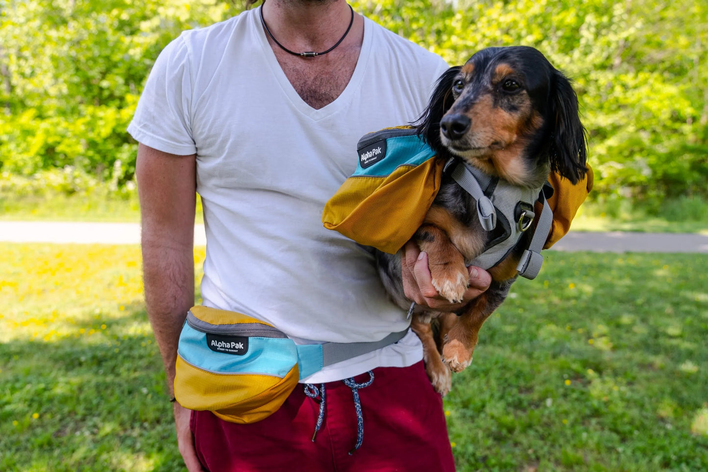 Adventurer Hip Pack - Water-Resistant & Durable