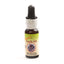 Snook's Tooth Oil - Natural Solution for Dental Health