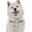 'Happy Birthday To Me' Dog Bandana for Boys - Stylish, Comfortable Pet Apparel
