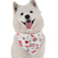 'Happy Valentine's Day' Dog Bandana - Festive, Comfortable Pet Apparel