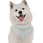 'Athena' Contemporary Dog Bandana - Chic, Comfortable Pet Apparel