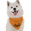 'Jack-O-Lantern' Dog Bandana - Top-Quality Microfiber - Made in the USA