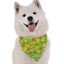 'Nacho Average Dog' Bandana - High-Quality Microfiber - Made in USA