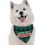 'Merry Christmas - 2' Dog Bandana - High-Quality Microfiber - USA Made