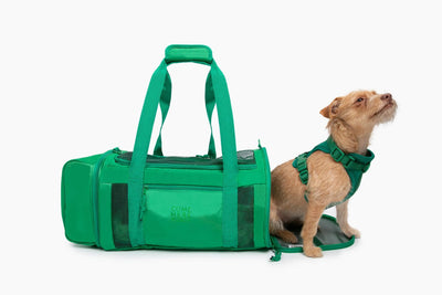 Travel Buddy - Comfortable and Spacious Pet Carrier