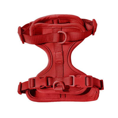 Comfortable Red Harness – Lightweight, Adjustable, Quick Release