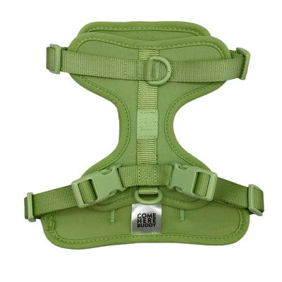 Mint Green Harness - Comfortable and Adjustable for All Sizes