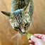 Organic Cat Treats Baking Mix - Botanical Bark, Healthy