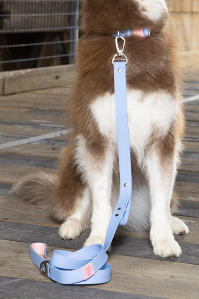 Blue Sky Orchid Waterproof Leash – Durable, Odor-Proof, Winter-Ready
