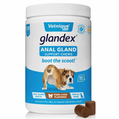 Glandex Pork Liver Soft Chews Jar - Digestive Health Supplement for Dogs