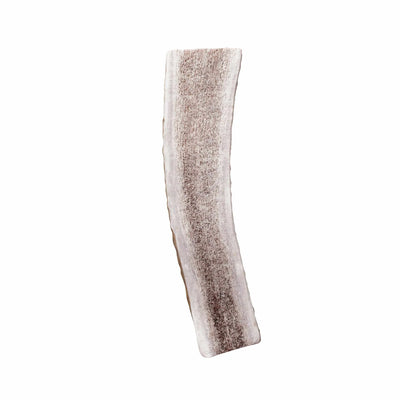 KONG Wild Antler Split - Natural & Durable Chewing Solution, Large Size