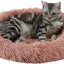Best Friends by Sheri Cat Donut Bed - Comfortable and Supportive Cat Bed
