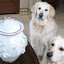 Stoneware Dog Treat Jar - Durable with Freshness Seal