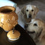 Stoneware Dog Treat Jar - Durable with Freshness Seal