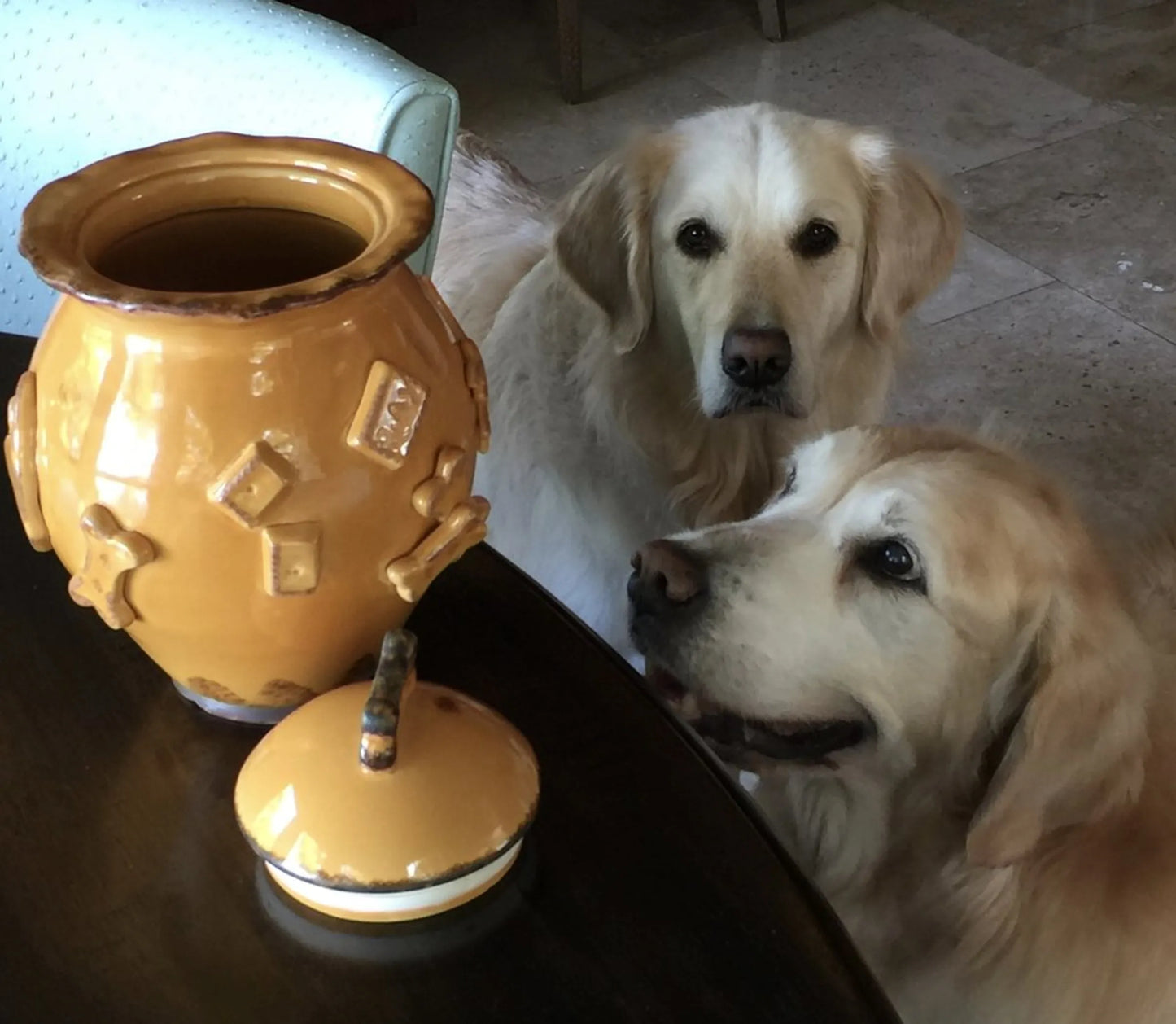 Stoneware Dog Treat Jar - Durable with Freshness Seal