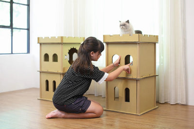 London Bridge Cat House - Fun and Durable Pet Furniture