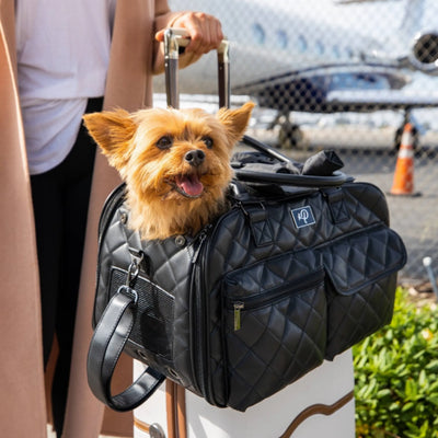 The Lux Pet Carrier: Stylish and Comfortable Travel for Pets