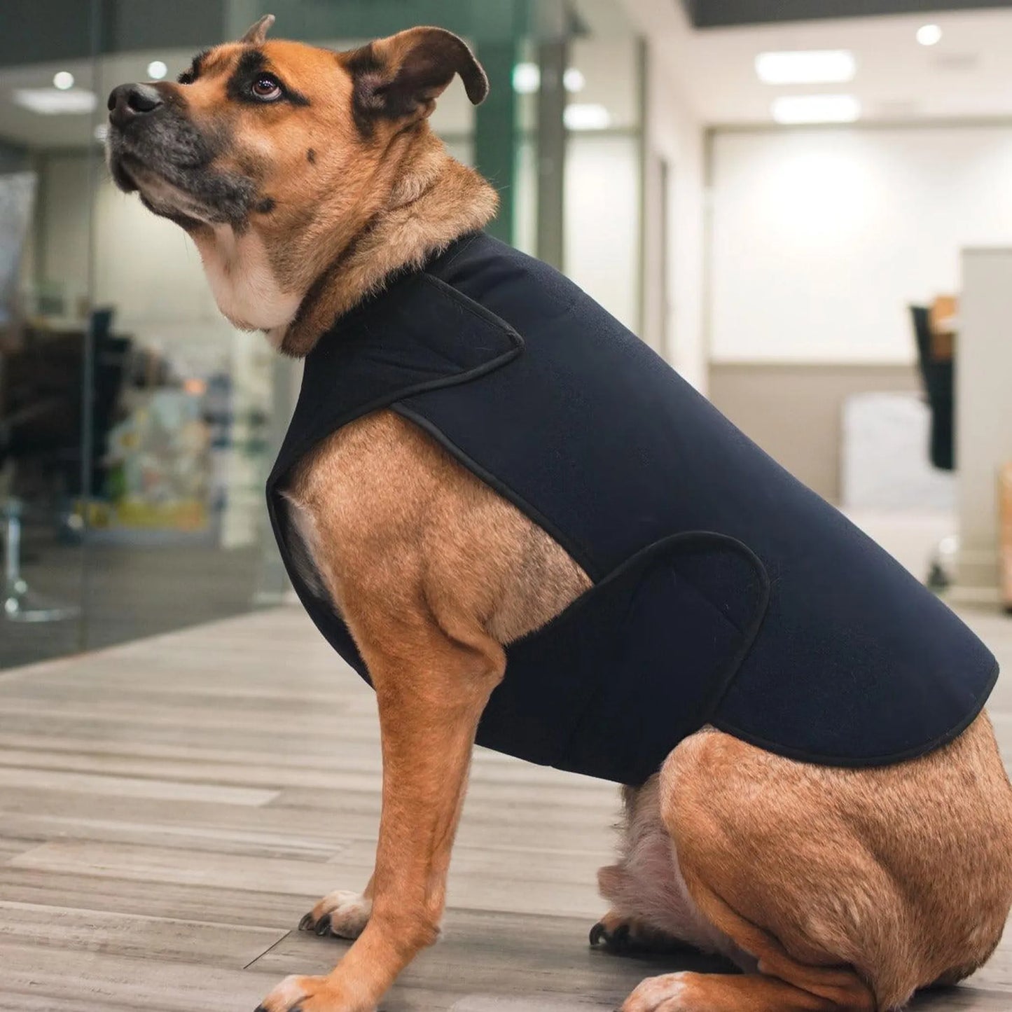 Healers Therapeutic & Anxiety Front Body Wrap: Comfort and Calm for Dogs