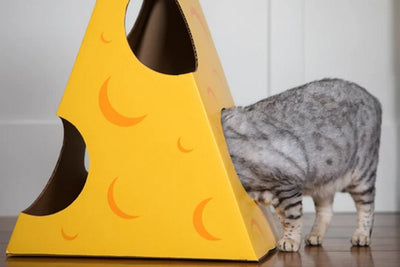 Monster Cheese Wedge Cardboard Cat House - Safe and Fun Playhouse