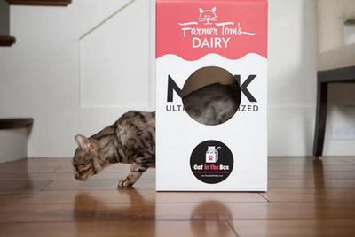 Mega Milk Carton Cardboard Cat House - Eco-Friendly Feline Fun