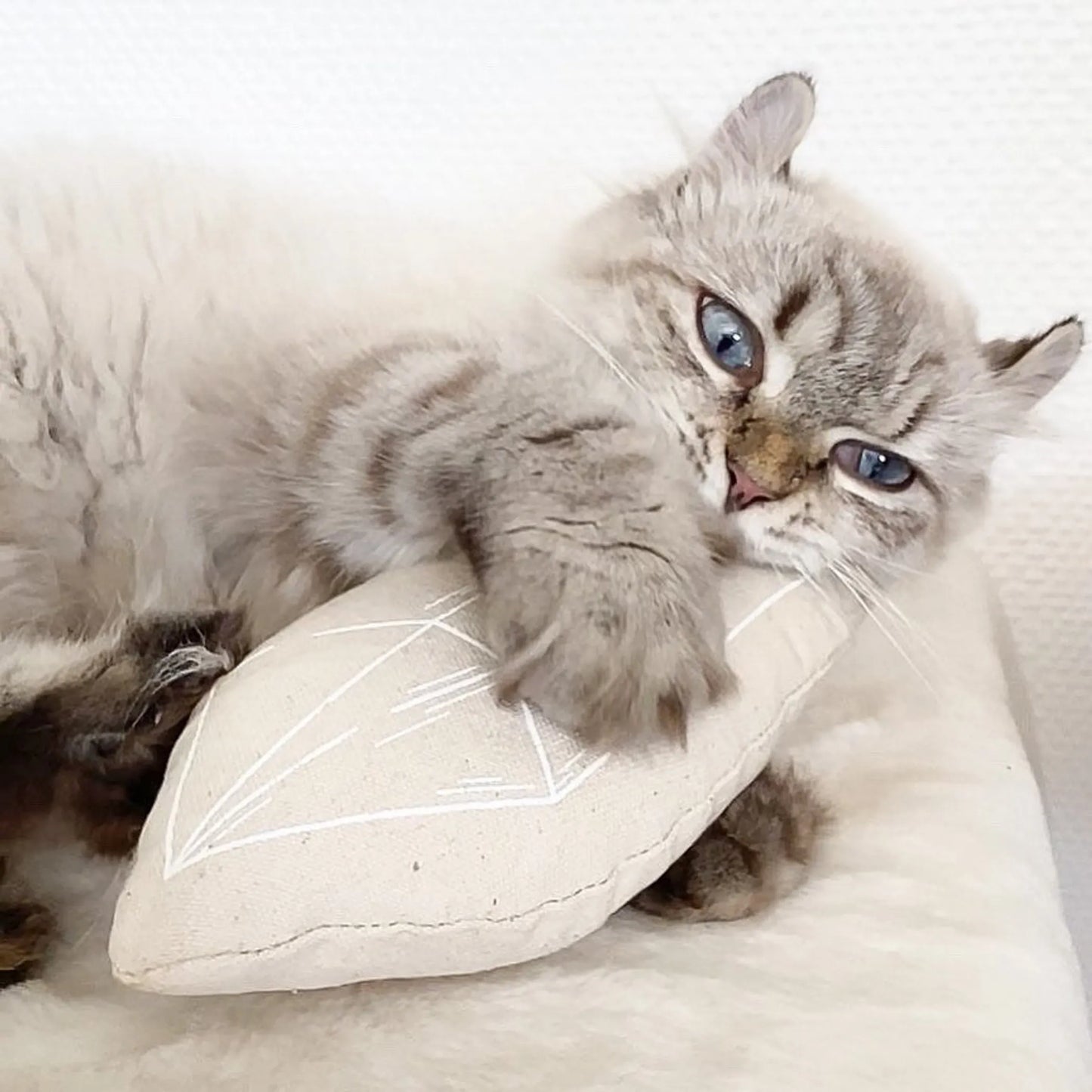 Chouchou - Relaxing Catnip Toy for Dogs