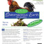 Food Grade Diatomaceous for Poultry