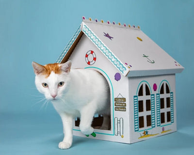 Breezy Beach Cottage Cardboard Cat Playhouse